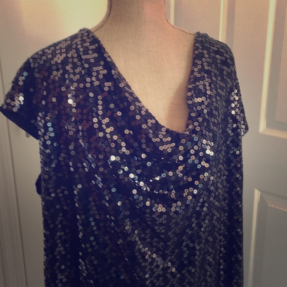 Dress-picture doesn’t do this Sequin Dress Justice